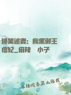 爆笑追妻：腹黑邪王戲痞妃