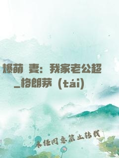 爆萌嬌妻：我家老公超寵噠