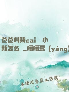 爸爸叫我cai媽媽小新怎么讀