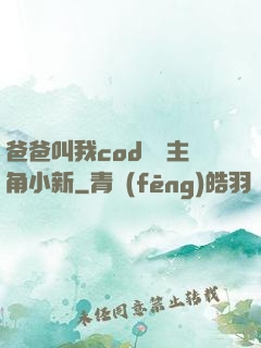 爸爸叫我cod媽媽主角小新