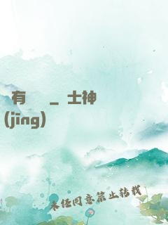 爺有兩桿槍