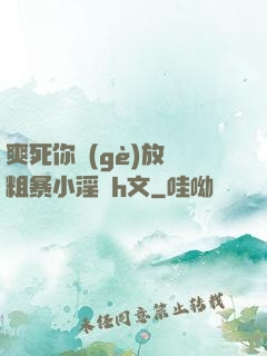 爽死你個(gè)放蕩粗暴小淫貨h文