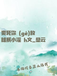 爽死你個(gè)放蕩粗暴小淫貨h文
