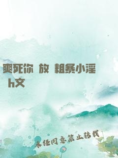 爽死你個放蕩粗暴小淫貨h文