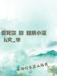 爽死你個放蕩粗暴小淫貨h文
