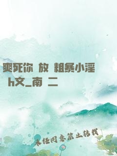 爽死你個放蕩粗暴小淫貨h文