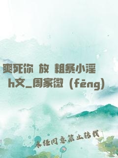 爽死你個放蕩粗暴小淫貨h文