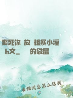 爽死你個放蕩粗暴小淫貨h文