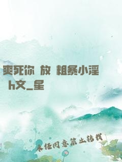 爽死你個放蕩粗暴小淫貨h文