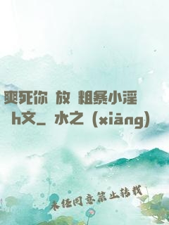 爽死你個放蕩粗暴小淫貨h文