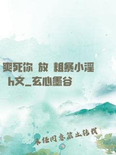 爽死你個放蕩粗暴小淫貨h文