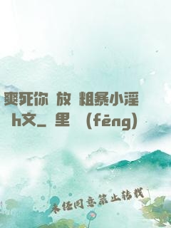 爽死你個放蕩粗暴小淫貨h文