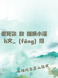 爽死你個放蕩粗暴小淫貨h文
