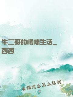 牛二哥的暖味生活