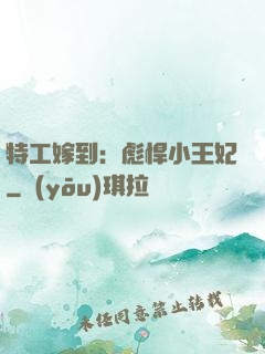 特工嫁到：彪悍小王妃