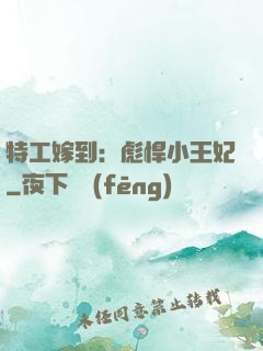 特工嫁到：彪悍小王妃