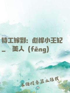 特工嫁到：彪悍小王妃
