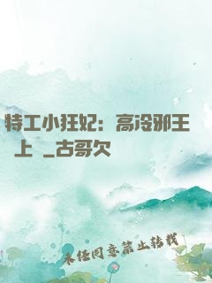 特工小狂妃：高冷邪王寵上癮