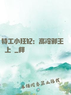 特工小狂妃：高冷邪王寵上癮