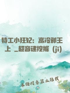 特工小狂妃：高冷邪王寵上癮