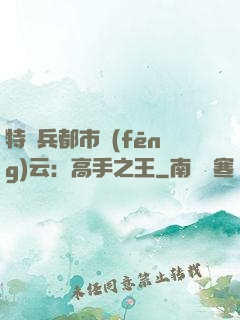 特種兵都市風(fēng)云：高手之王