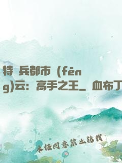 特種兵都市風(fēng)云：高手之王