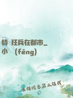 特種狂兵在都市