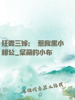 狂妻三嫁：誤惹腹黑小相公