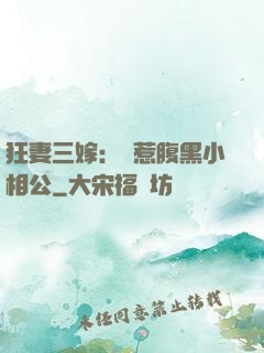 狂妻三嫁：誤惹腹黑小相公