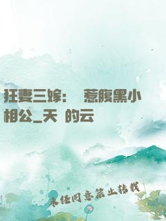 狂妻三嫁：誤惹腹黑小相公
