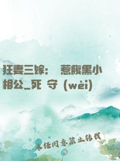 狂妻三嫁：誤惹腹黑小相公
