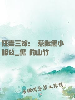 狂妻三嫁：誤惹腹黑小相公