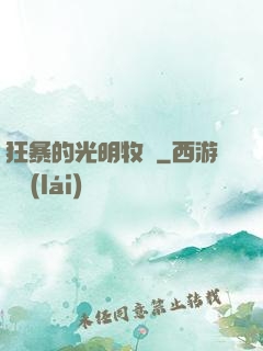 狂暴的光明牧師
