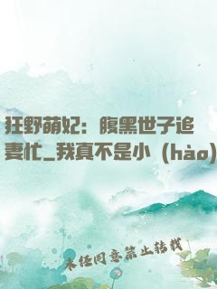 狂野萌妃：腹黑世子追妻忙