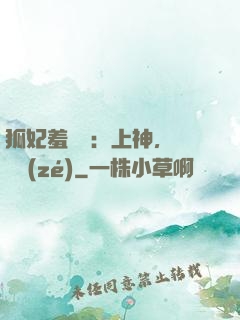 狐妃羞噠噠：上神，請負責(zé)