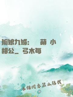 狐娘九媚：撿個萌寶小相公