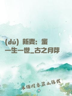 獨(dú)寵新妻：蜜寵一生一世