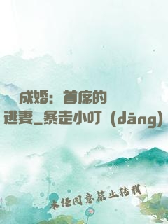 獵愛成婚：首席的億萬逃妻