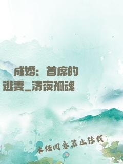 獵愛成婚：首席的億萬逃妻