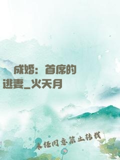 獵愛成婚：首席的億萬逃妻