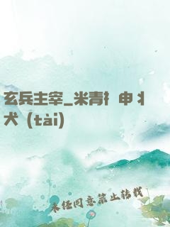 玄兵主宰
