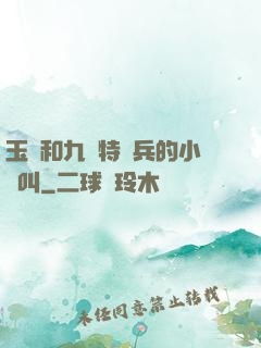 玉兒和九個特種兵的小說叫
