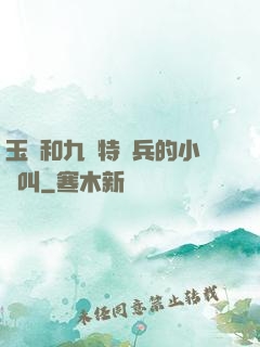 玉兒和九個特種兵的小說叫