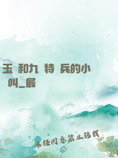 玉兒和九個特種兵的小說叫
