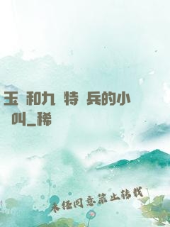玉兒和九個特種兵的小說叫