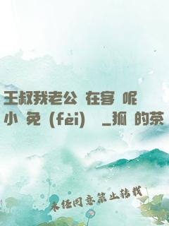 王叔我老公還在客廳呢小說免費(fèi)閱讀