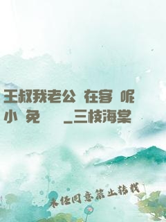 王叔我老公還在客廳呢小說免費閱讀