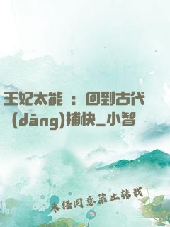 王妃太能鬧：回到古代當(dāng)捕快