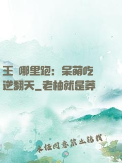 王爺哪里跑：呆萌吃貨逆翻天