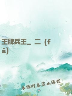 王牌兵王